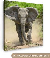 Canvas Schilderij Rennende olifant - 90x90 cm - Wanddecoratie