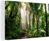 Canvas schilderij 150x100 cm - Wanddecoratie Jungle - Palmboom - Pad - Jongens - Meisjes - Kids - Muurdecoratie woonkamer - Slaapkamer decoratie - Kamer accessoires - Schilderijen