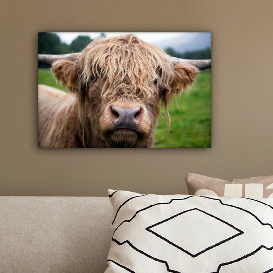 Toile Highlander écossais poilue 2cm