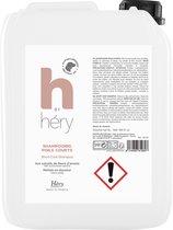 Hery H By Hery Shampoo Hond Voor Kort Haar 5 LTR