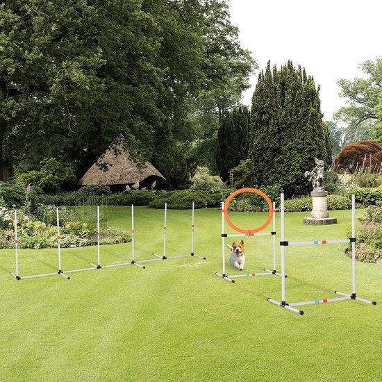 Move And Stic Bernd 6152 Agility Hondenwip – Weerbestendig, Lengte 163 Cm, Met Aluminium Versteviging, Ideaal Voor Hondentraining