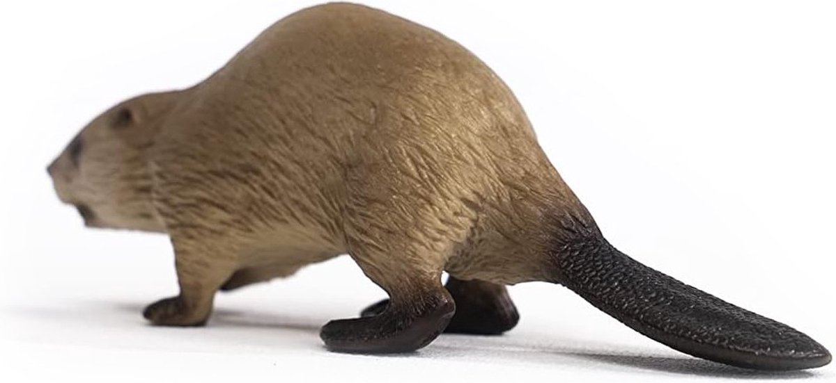schleich WILD LIFE - Bever - 14855 — afbeelding 8