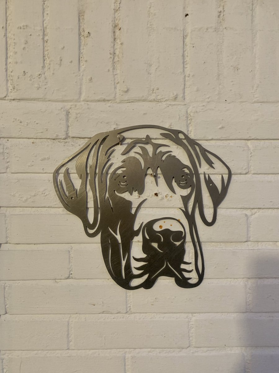 Metalen Hond - Duitse Dog - Wanddecoratie van metaal