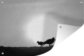 Tuindecoratie Een scholekster met een jonge scholekster tijdens een zonnige ochtend - zwart wit - 60x40 cm - Tuinposter - Tuindoek - Buitenposter