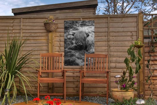 Décoration de jardin Highlander écossais au repos - noir et blanc - 40x60 cm - Poster de jardin