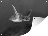 Muurdecoratie buiten Een schildpad zwemt in het water - zwart wit - 160x120 cm - Tuindoek - Buitenposter