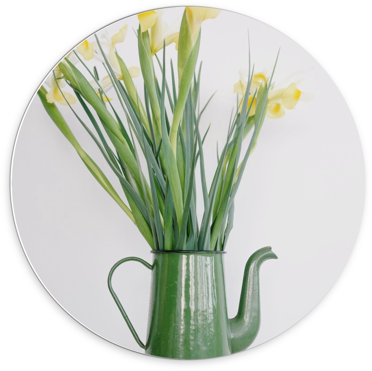 Forex Wandcirkel - Groene Gieter met Bloemetjes - 70x70cm Foto op Wandcirkel (met ophangsy
