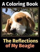 The Reflections of My Beagle