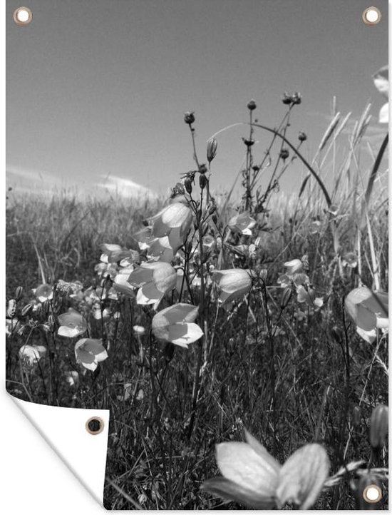 Muurdecoratie buiten Campanula's in een veld met wilde bloemen en grassen - zwart wit - 120x160 cm - Tuindoek - Buitenposter