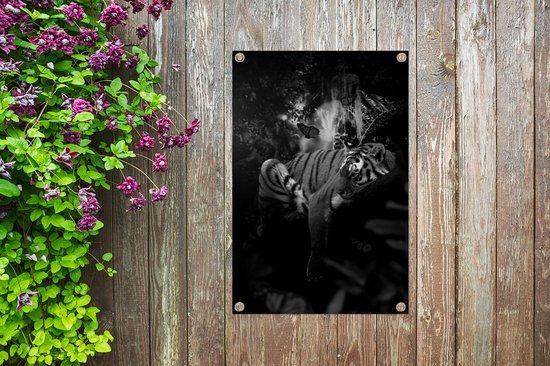 Posters de jardin Tigre et papillons dans la jungle - noir et blanc - 60x90 cm - Toile jardin