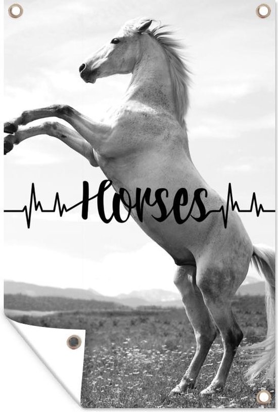 Tuindecoratie Paarden quote 'Horses' en een steigerend wit paard - zwart wit - 40x60 cm - Tuinposter - Tuindoek - Buitenposter
