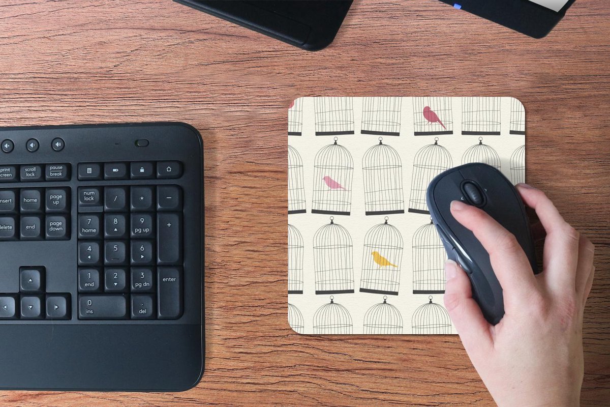 Muismat 20x20 cm - Mousepad Vogel - Vogelkooi - Patronen - Muismatten