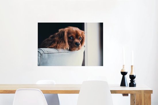 Poster Chien - Chaise - Tête - 90x60 cm