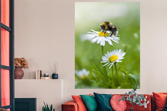 Affiche Bourdon - Marguerites - Fleurs - 120x180 cm XXL