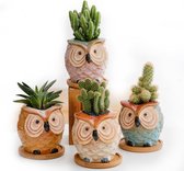 Keramische Uil Pot met Bamboe Schotel - Mini Succulente Bloembak voor Cactus - Blauw
