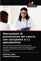Meccanismi di prevenzione del cancro con curcumina e (-) epicatechina