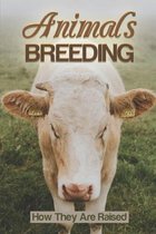 Animals Breeding: How They Are Raised