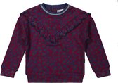 Dirkje - Girls Sweater ls Burgundy + aop - maat 104