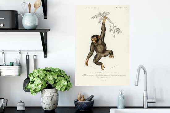 Stickers muraux - Singe - Vintage - Branche - 40x60 cm - Film Adhésif