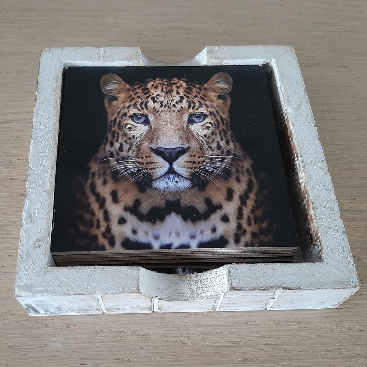 Onderzetter set wilde dieren 6 verschillende van hout