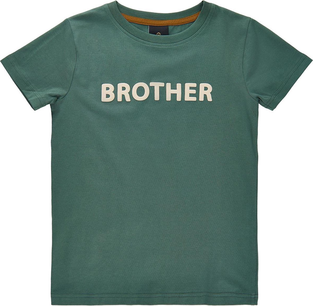 The New t-shirt jongens - groen - TNvilmer - maat 116