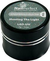 NailPerfect Color Gel LED/UV Hunting The Light 7g
