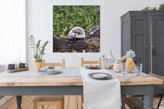 Affiche Hérisson - Wit - Tronc d'arbre - Fleurs - 100x100 cm XXL