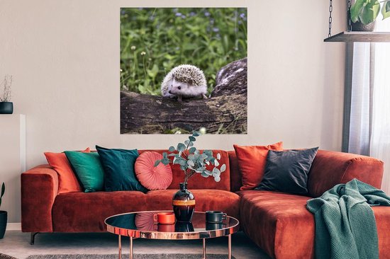 Affiche Hérisson - Wit - Tronc d'arbre - Fleurs - 100x100 cm XXL