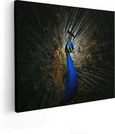 Artaza - Peinture sur toile - Paon bleu avec de grandes Ressorts - 50x40 - Photo sur toile - Impression sur toile