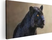 120 cm x 60 cm