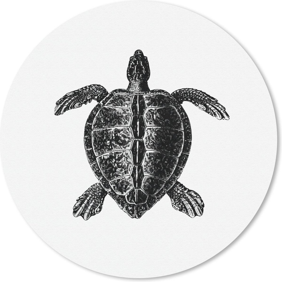 Muismat rond 50x50 cm - Mousepad Vintage - Schildpad - Dieren - Ronde muismatten