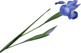 Silk-ka Kunstbloem-Zijden Bloem Iris Steel Zijde Blauw 76 cm Voordeelaanbod per 2 stuks