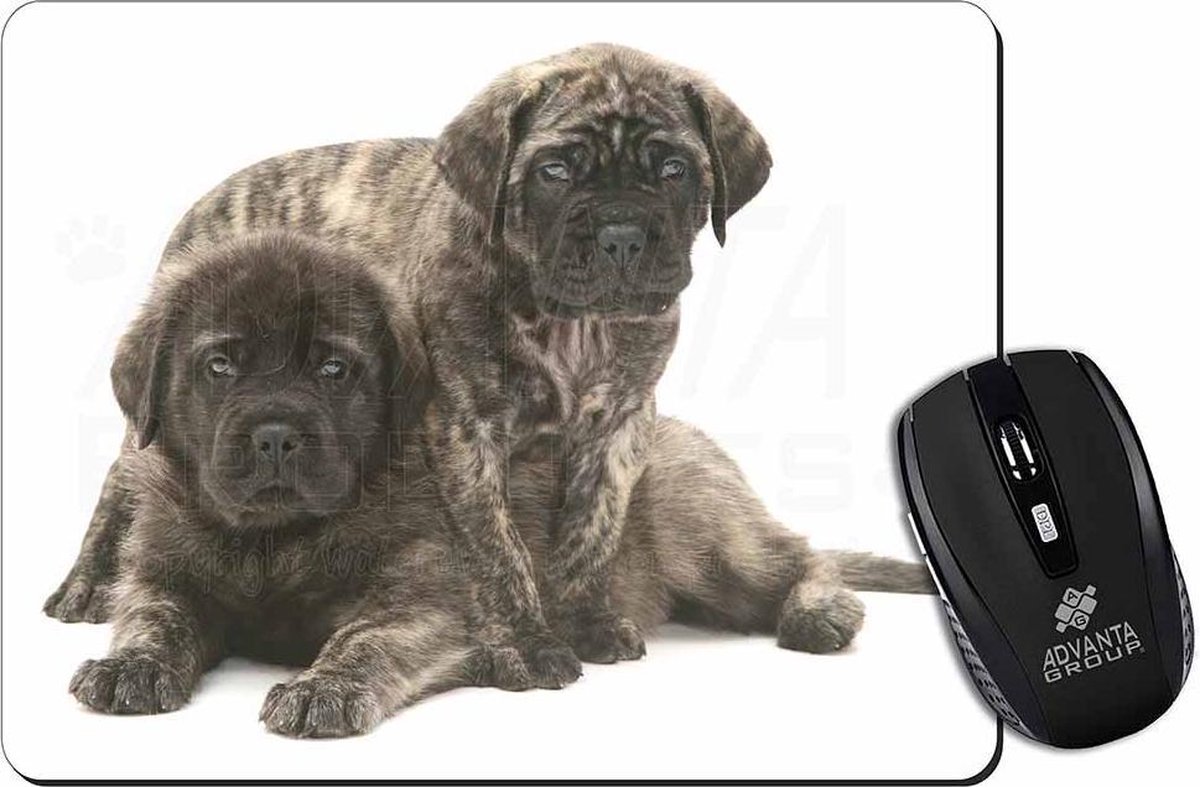 2 Bullmastif Pups Muismat
