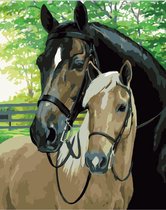 Paint By Numbers Knuffelende Paarden - Schilderen op Nummer - 50x40cm - Volwassenen - Stipco