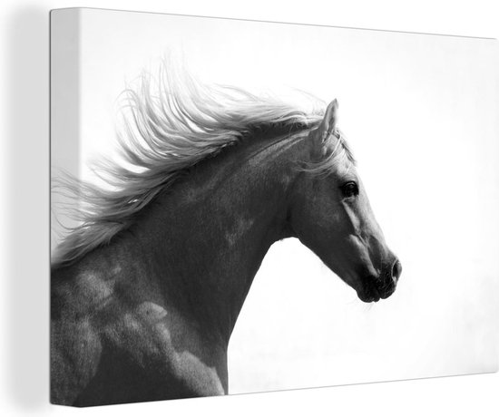 Canvas Schilderij Paard - Licht - Lucht - 90x60 cm - Wanddecoratie