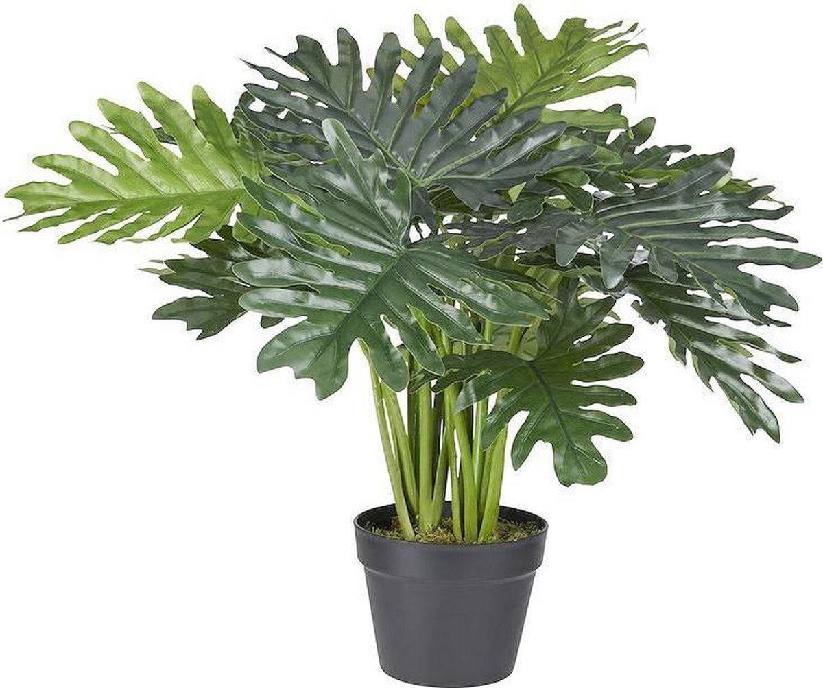 Kunstplant Philo Xanadu H60cm - HTT Decorations kunstplanten