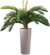 Kunstplant Cycas in Clou rond taupe H105 cm - HTT Decorations