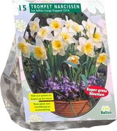 Plantenwinkel Narcissus Ice Follies bloembollen per 15 stuks