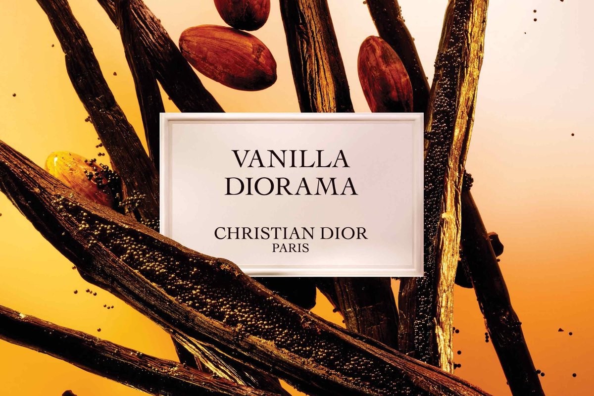 Christian Dior Vanille Diorama Eau De Parfum 40ml Maison Christian Dior  Paris | bol