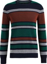 WE Fashion Heren gestreepte trui