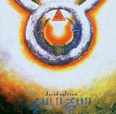 David Sylvian - Gone To Earth (2 CD)