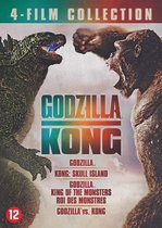 Godzilla 1 -4 Collection (DVD)