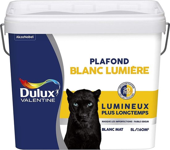 Dulux Valentine Plafond Blanc Lumiere WIT - 5L