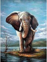 Peinture au Diamond - Éléphant peint - Fabriqué aux Pays- Nederland - 50 x 70 cm - matériel de toile - pierres carrées + stylo de luxe gratuit d'une valeur de 12,99