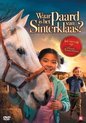 Waar Is Het Paard Van Sinterklaas (DVD)