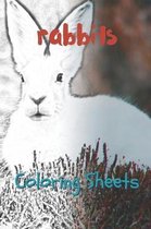 Rabbit Coloring Sheets