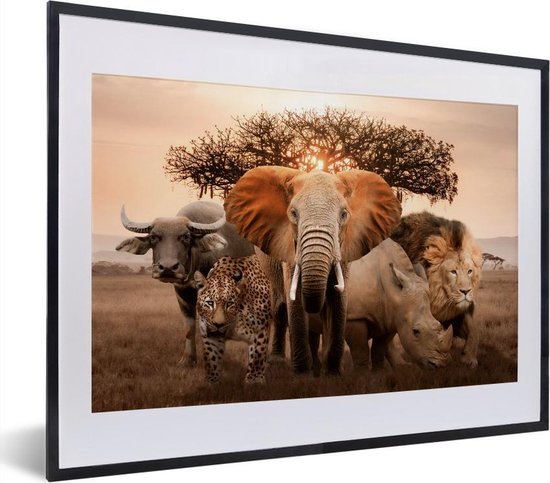 Affiche avec cadre Animaux - Éléphant - Lion - 40x30 cm