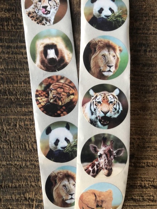 Foto: Sluitsticker sluitzegel dieren natuur tijger leeuw panda olifant giraffe kaart envelop envelop stickers cadeau gift cadeauzakje traktatie leuk inpakken beloning kinderen beloningsstickers jongens meisjes dh col