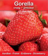 15x Aardbei 'Gorella' - Pot Ø 10,5 cm
