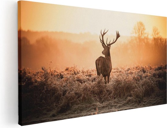 Artaza Canvas Schilderij Hert In De Wei Tijdens De Zonsopkomst - 40x20 - Klein - Foto Op Canvas - Canvas Print